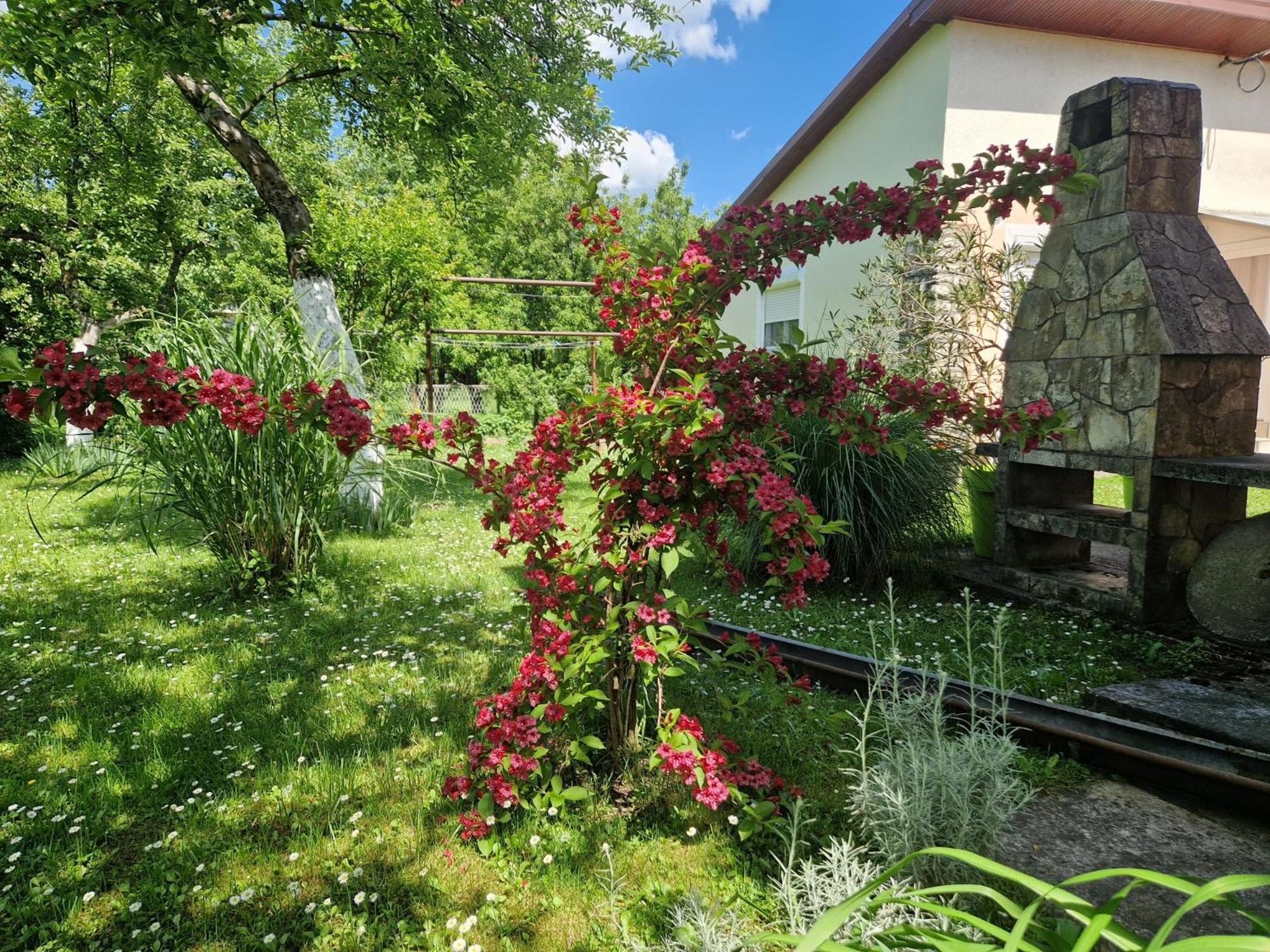 Studio Apartman Marica - Ogulin, Hrvatska Luaran gambar