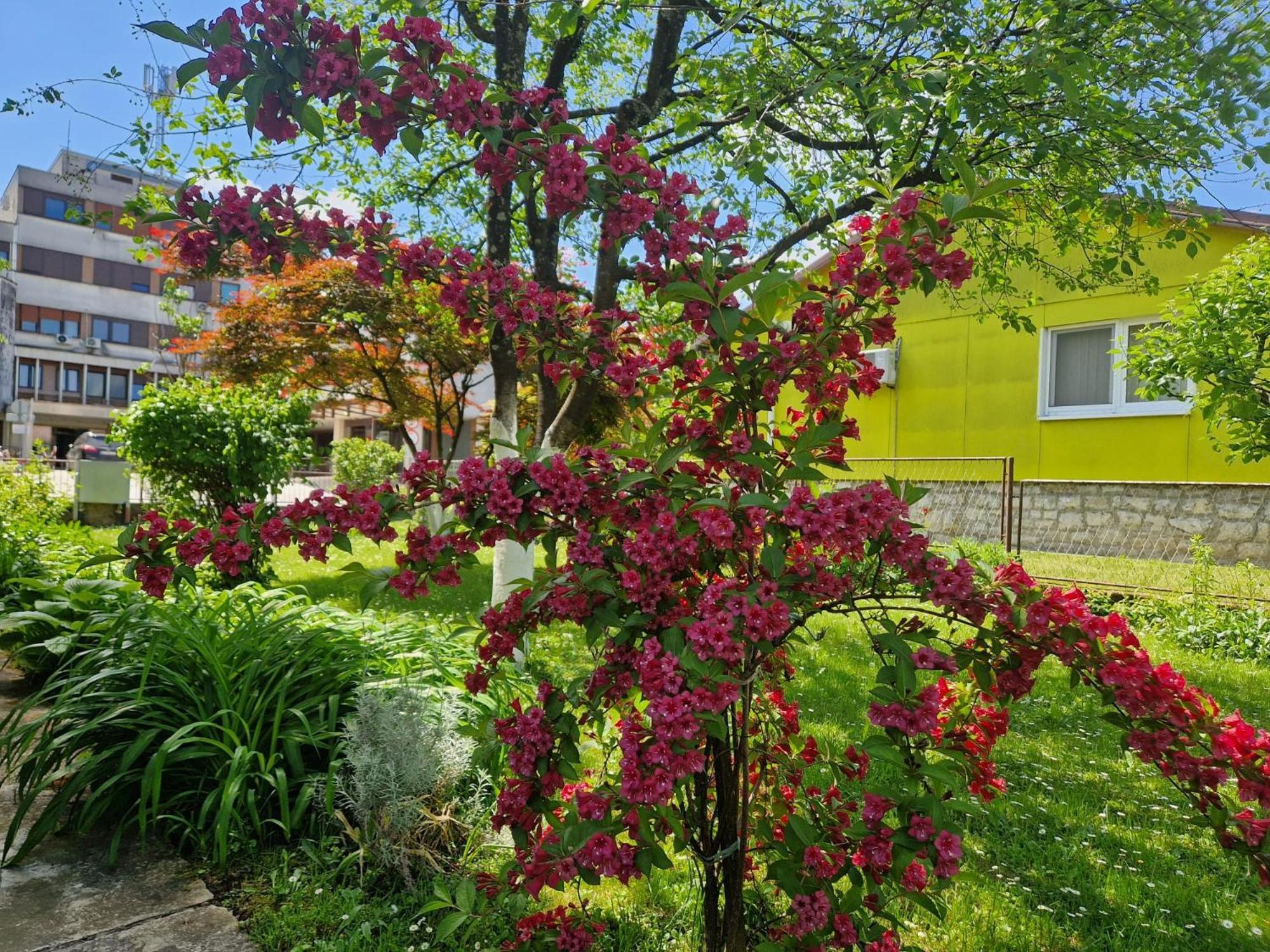 Studio Apartman Marica - Ogulin, Hrvatska Luaran gambar