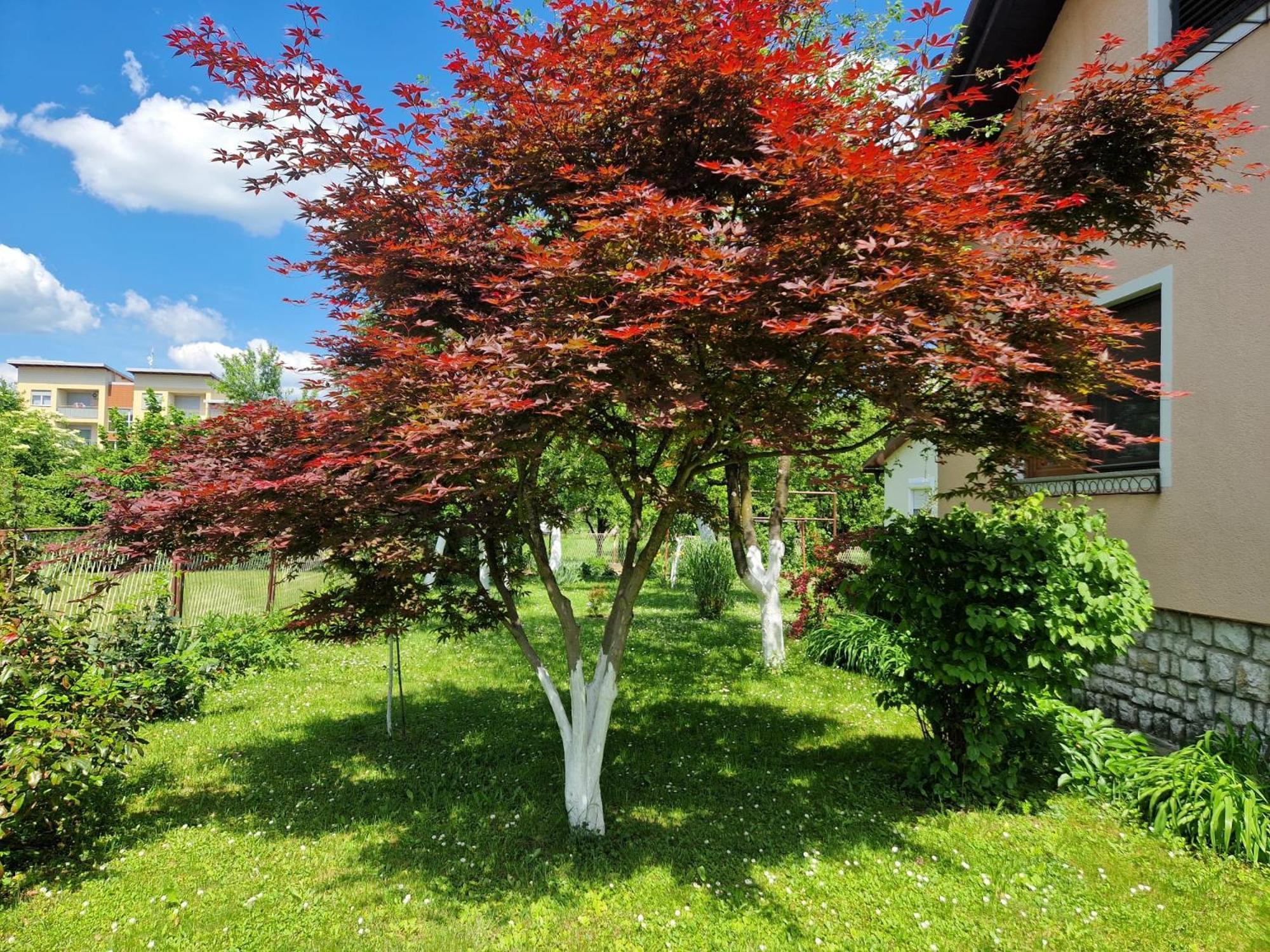 Studio Apartman Marica - Ogulin, Hrvatska Luaran gambar